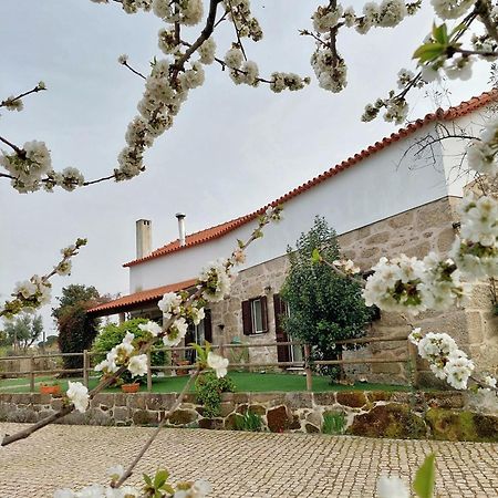 奥利维拉多霍斯比托A Casa Do Soito别墅 外观 照片